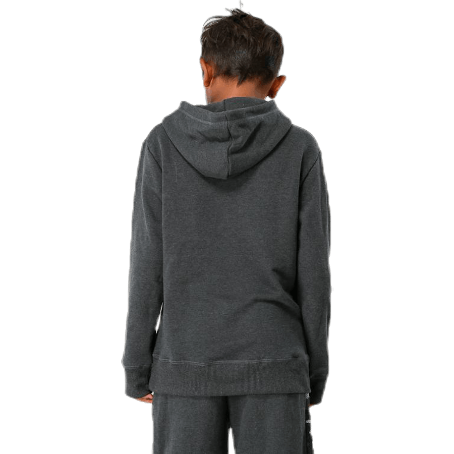 Sweat à capuche junior Harvey gris