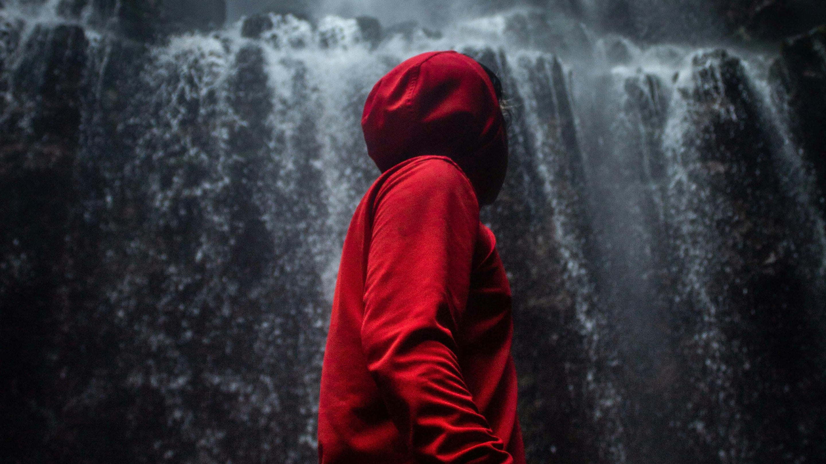 Hoodies & Sweatshirts