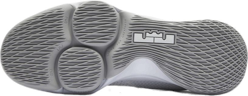 LeBron Witness IV (Team) White/Grey