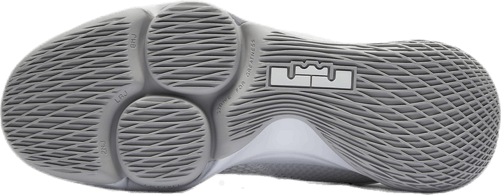 LeBron Witness IV (Team) White/Grey