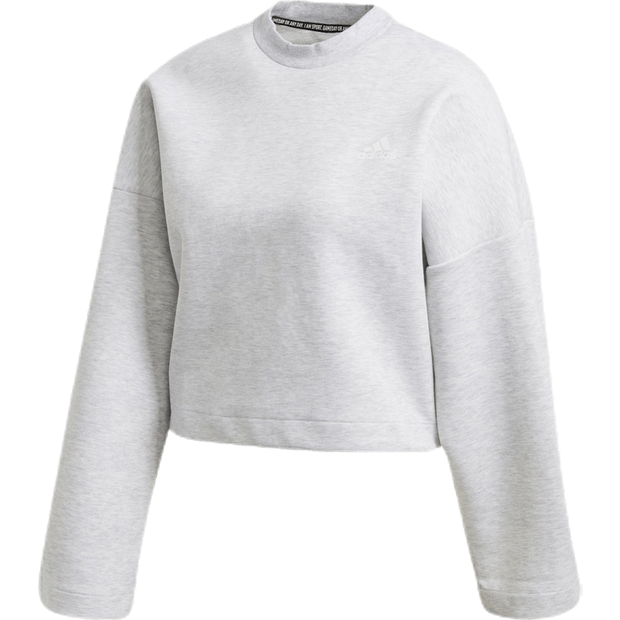 3S Dk Crew Grey