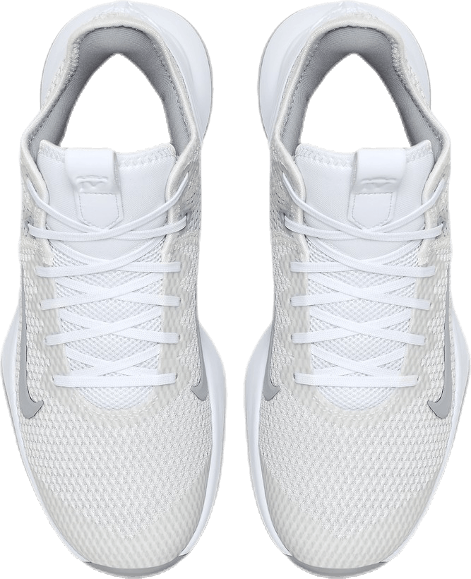 LeBron Witness IV (Team) White/Grey