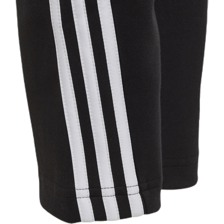 B 3S Tapered P Must / valge