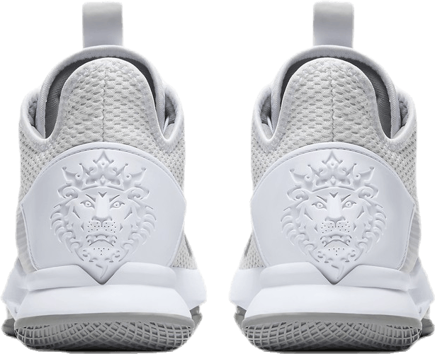 LeBron Witness IV (Team) White/Grey