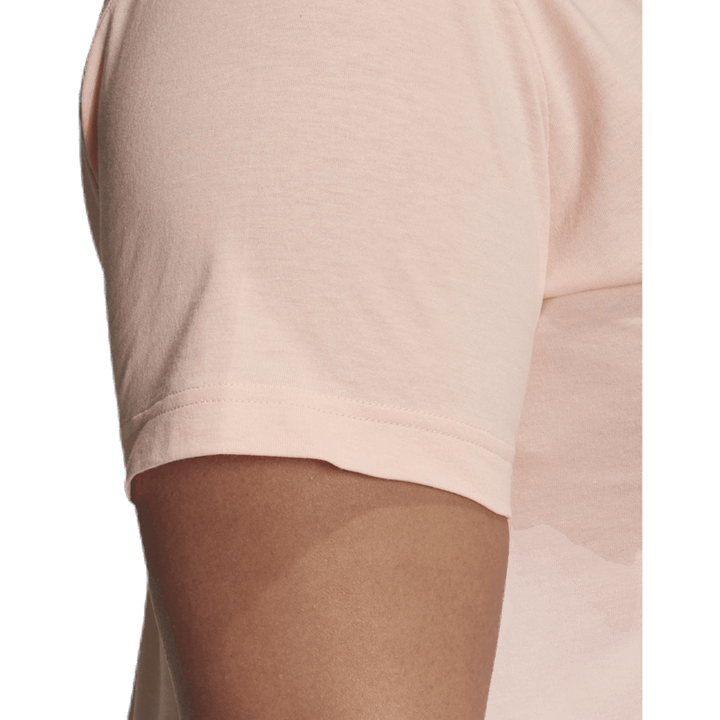 Bos Co T en rose plus