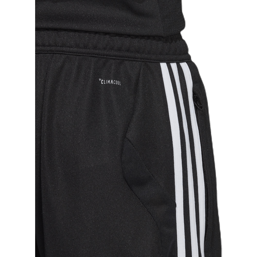 Tiro19 Training Pant Black / White