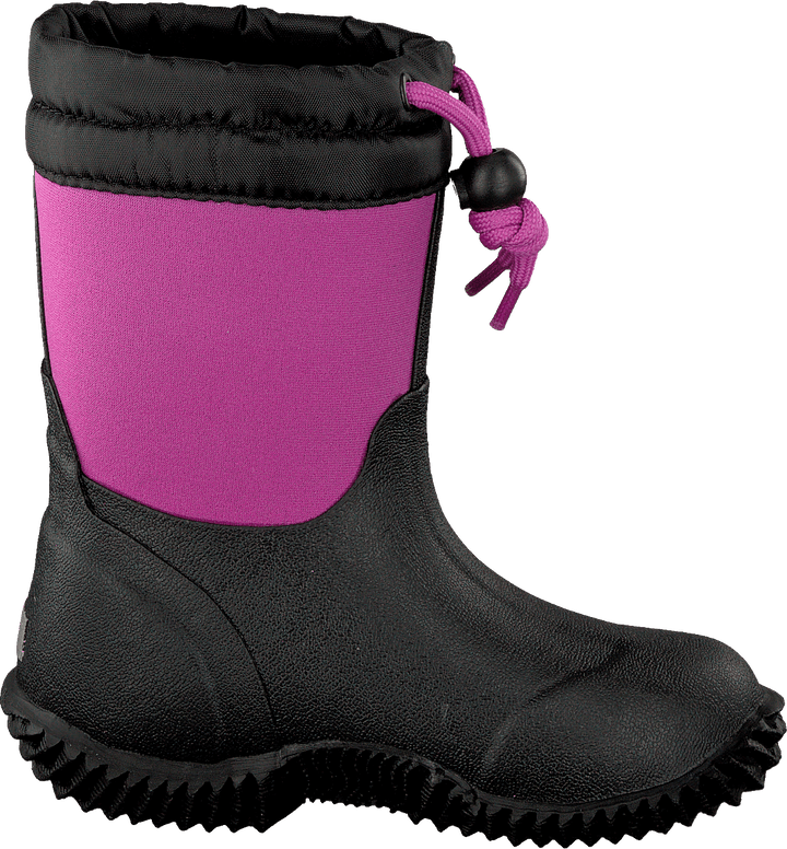 Algot Fuchsia