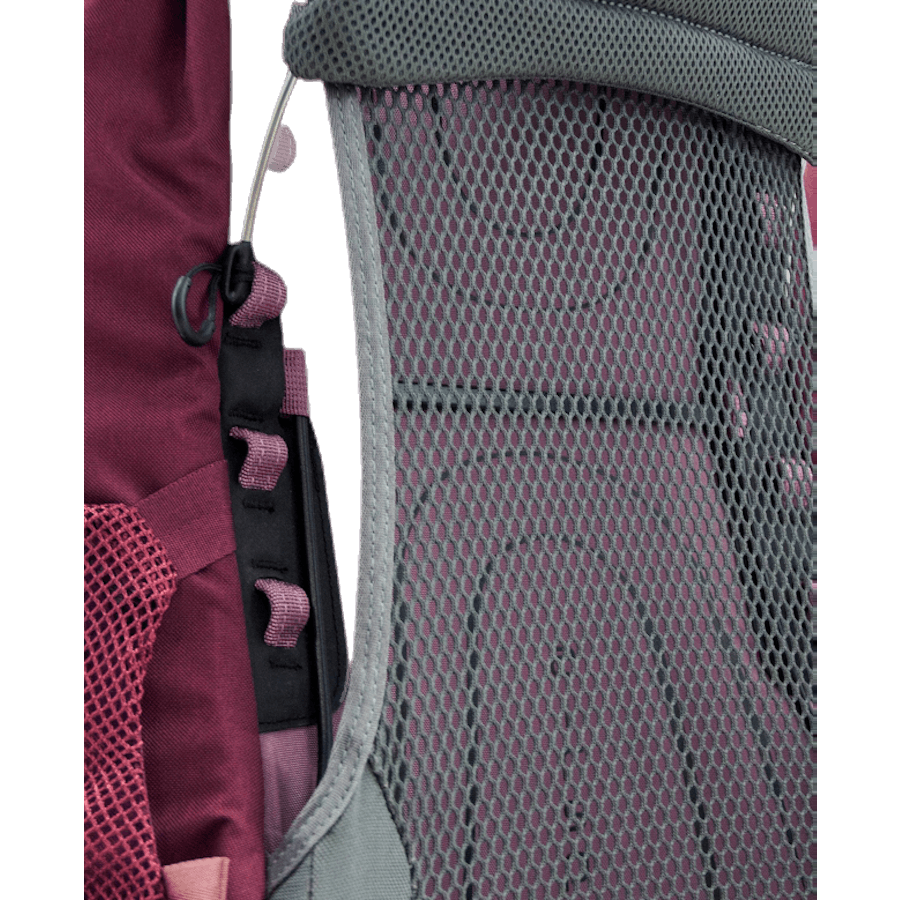 Renn 65 Purple