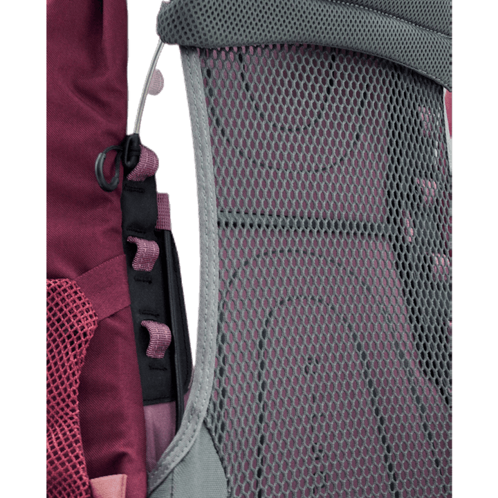 Renn 65 Purple