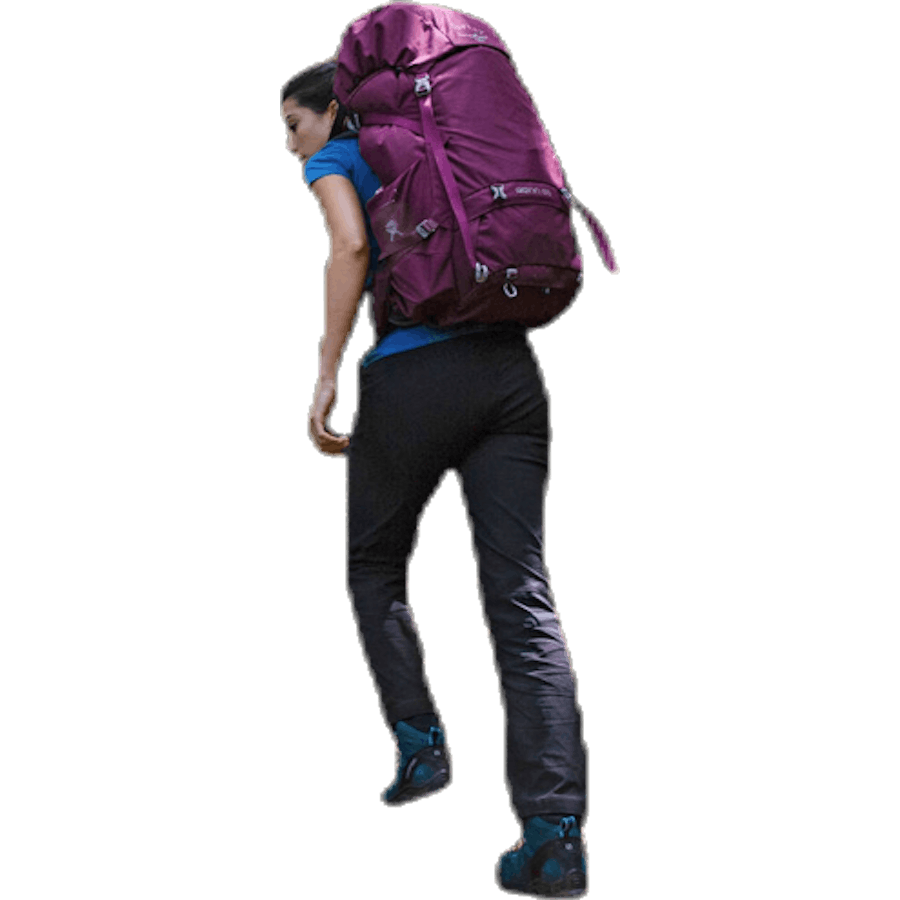 Renn 65 Purple