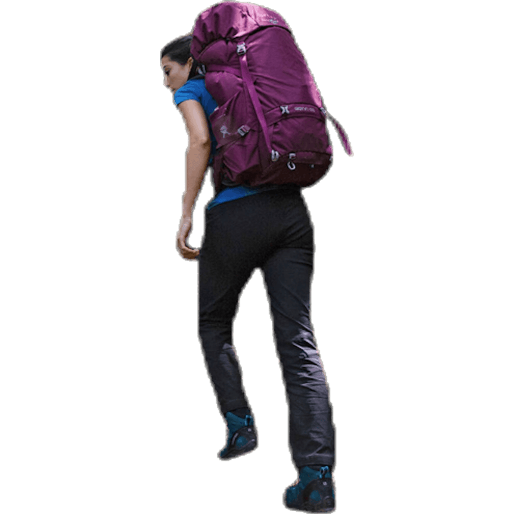 Renn 65 Purple