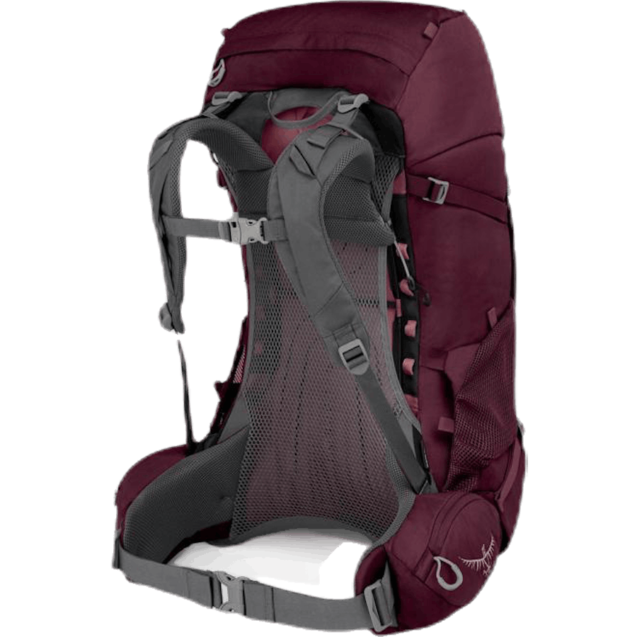 Renn 50 Purple