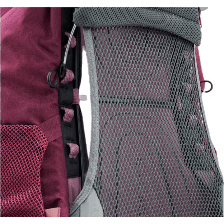 Renn 50 Purple