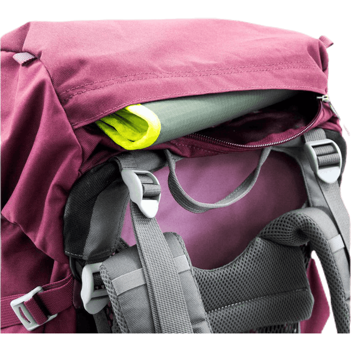 Renn 50 Purple