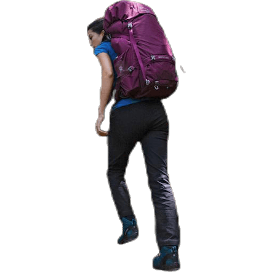 Renn 50 Purple