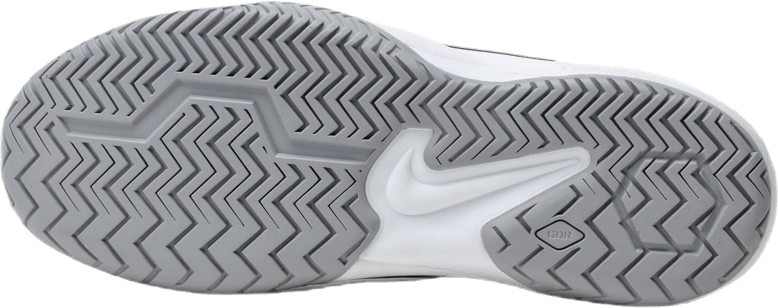 Zoom Air Resistance White/Silver