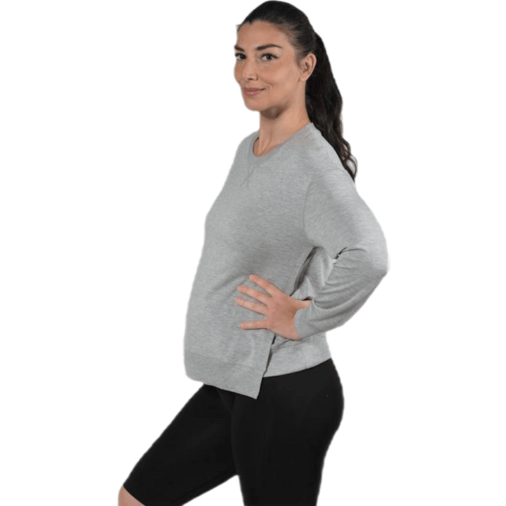 The sweatshirt Grey