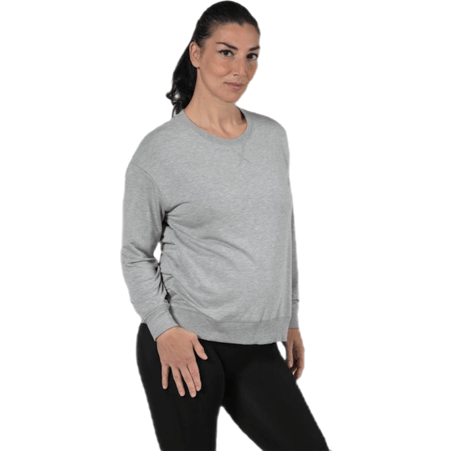 The sweatshirt Grey