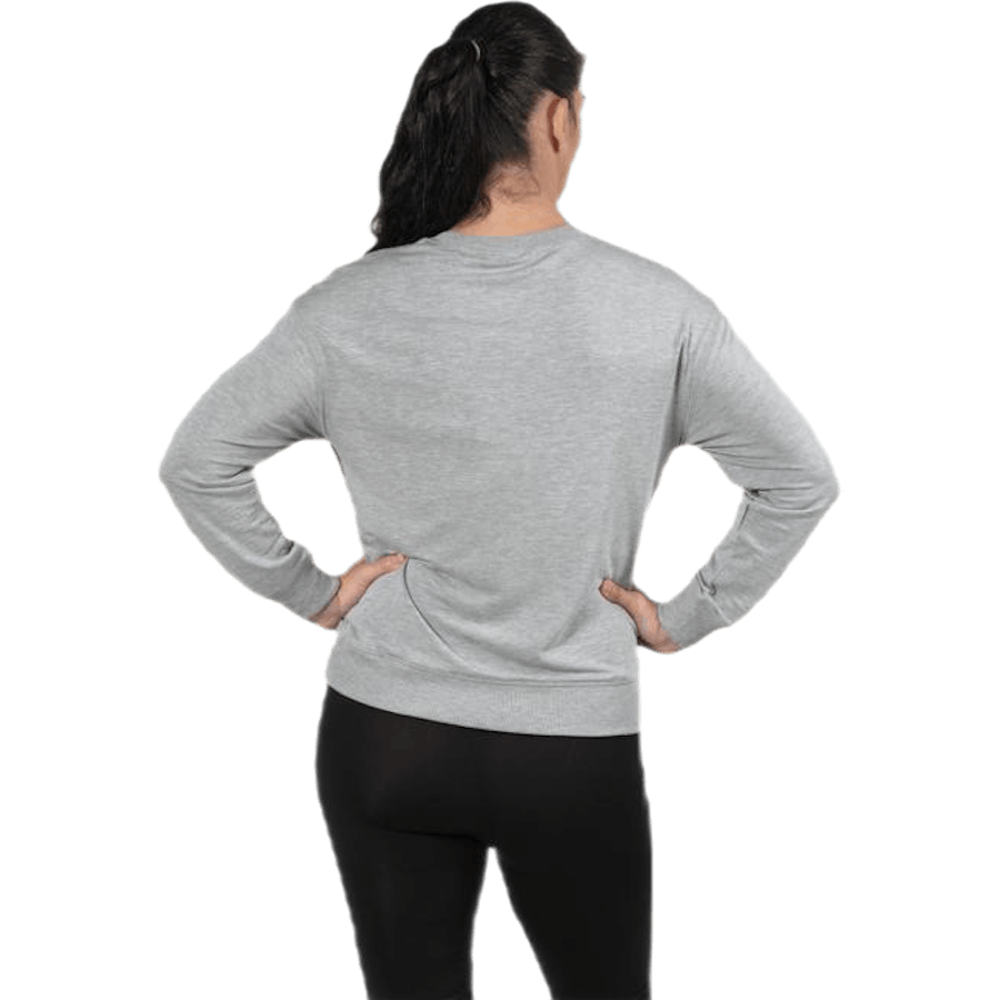 The sweatshirt Grey