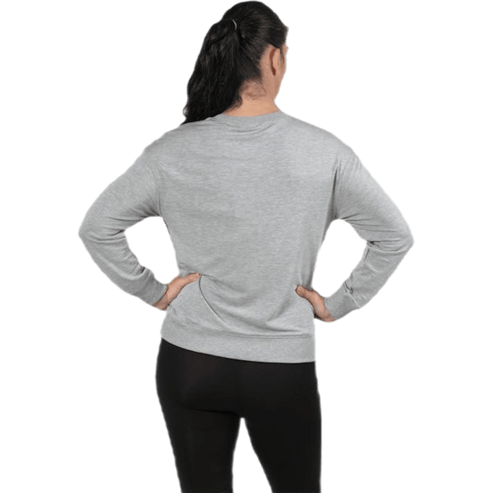 The sweatshirt Grey