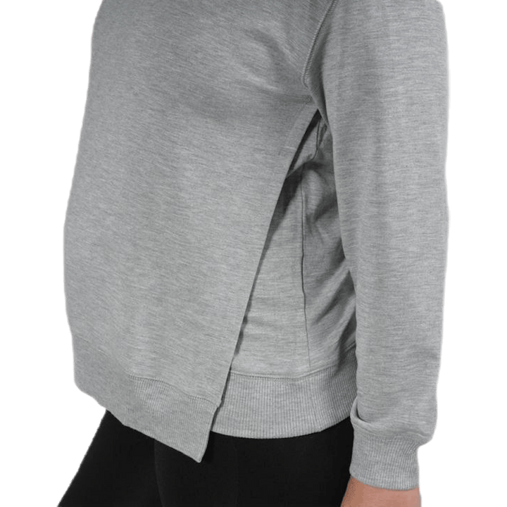 The sweatshirt Grey