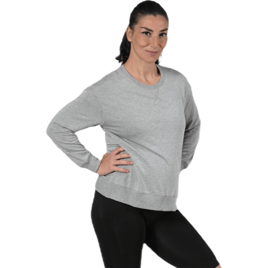 The sweatshirt Grey