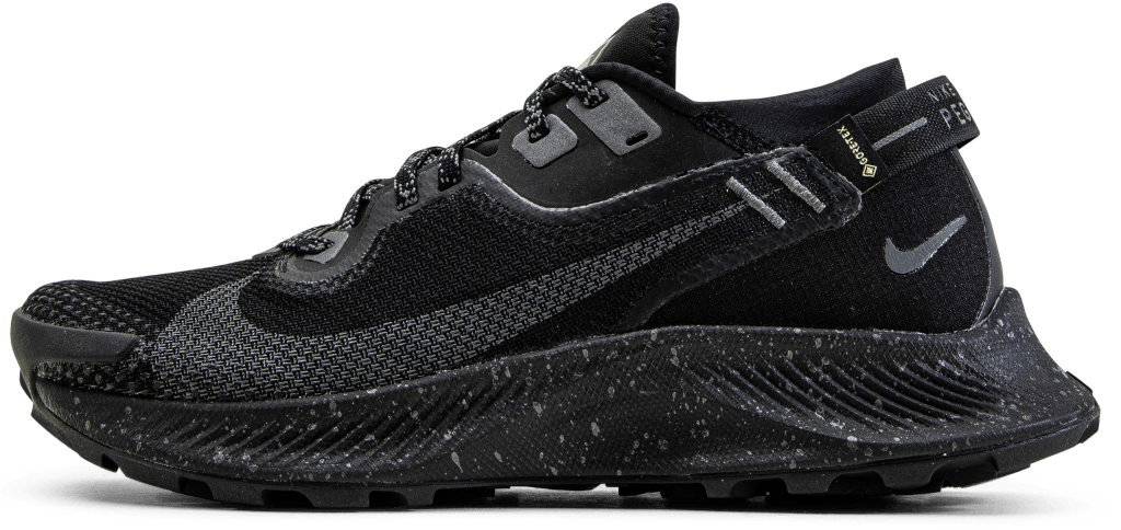 Pegasus Trail 2 GORE-TEX Black/Grey