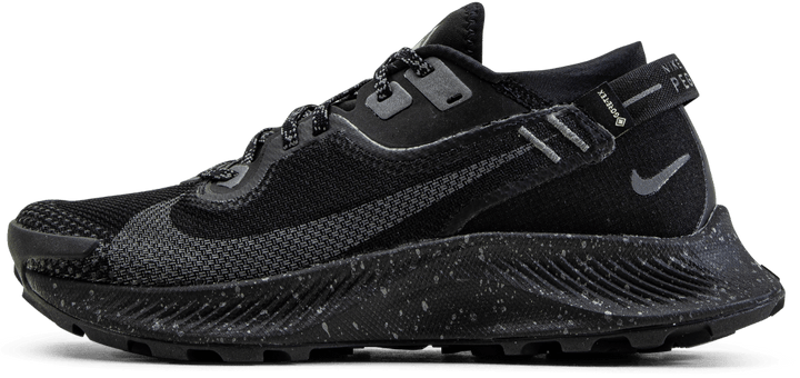 Pegasus Trail 2 GORE-TEX Black/Grey
