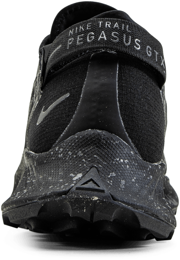 Pegasus Trail 2 GORE-TEX Black/Grey