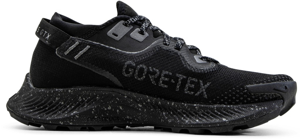 Pegasus Trail 2 GORE-TEX Black/Grey