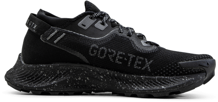 Pegasus Trail 2 GORE-TEX Black/Grey