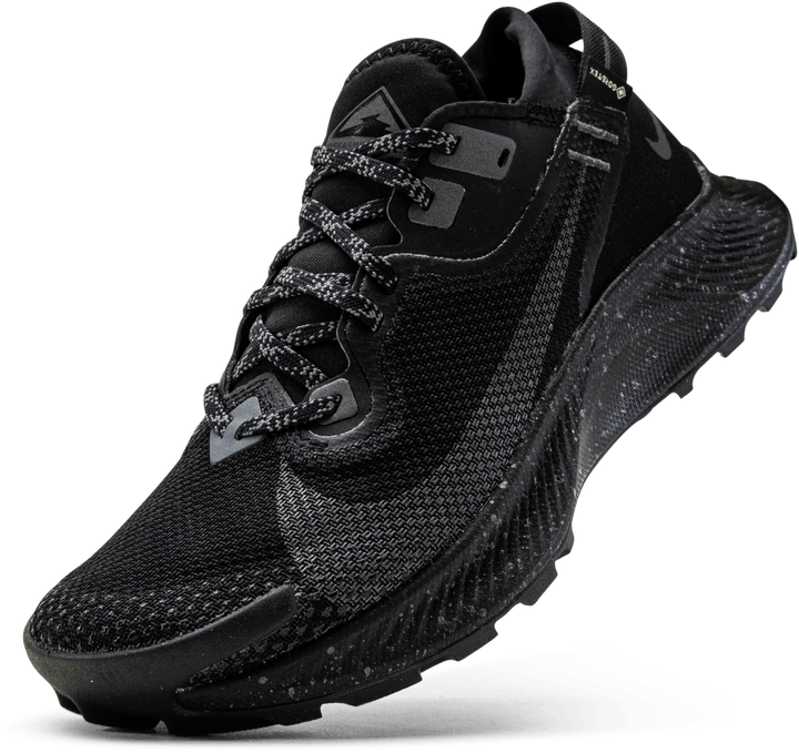 Pegasus Trail 2 GORE-TEX Black/Grey