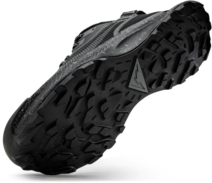 Pegasus Trail 2 GORE-TEX Black/Grey
