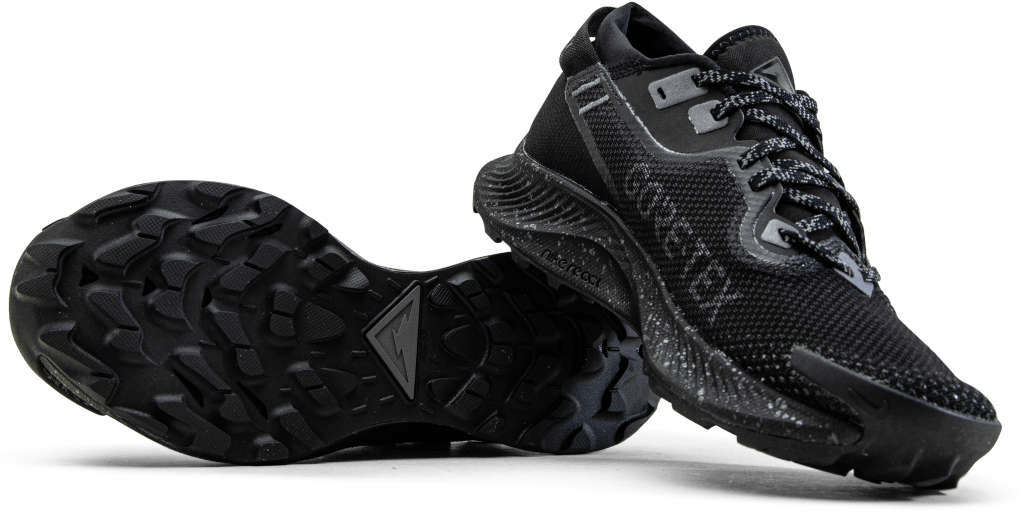 Pegasus Trail 2 GORE-TEX Black/Grey