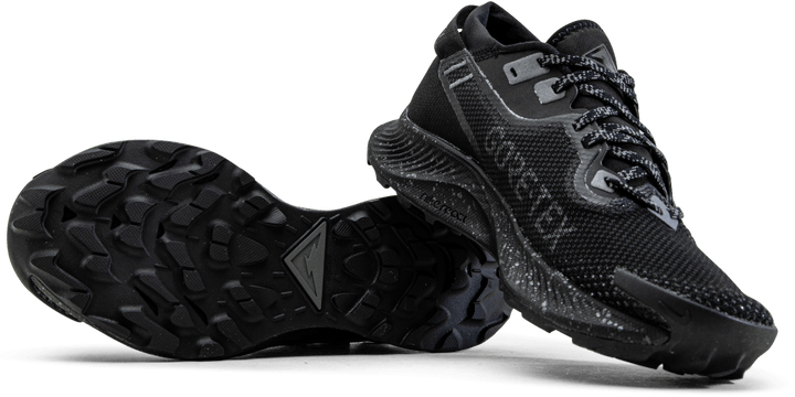Pegasus Trail 2 GORE-TEX Black/Grey