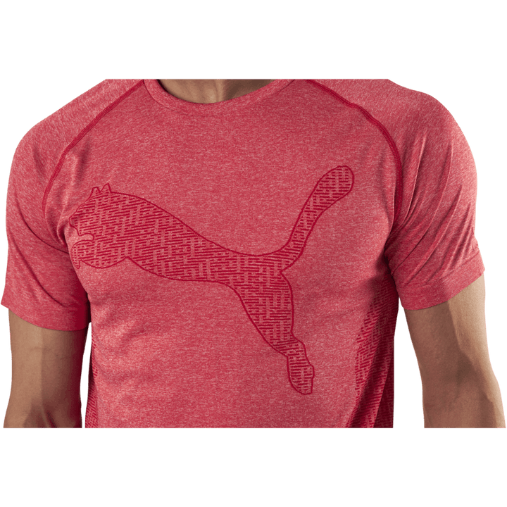 RTG Evoknit Tee Red