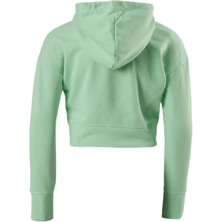 Sweat à capuche court Junior NSW Vert