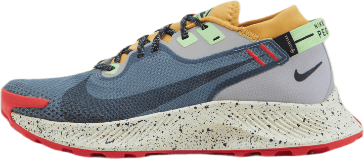 Pegasus Trail 2 Gore-Tex Svart/Grå