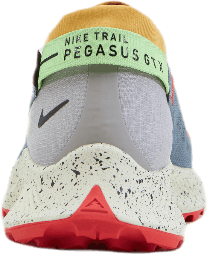 Pegasus Trail 2 Gore-Tex Svart/Grå