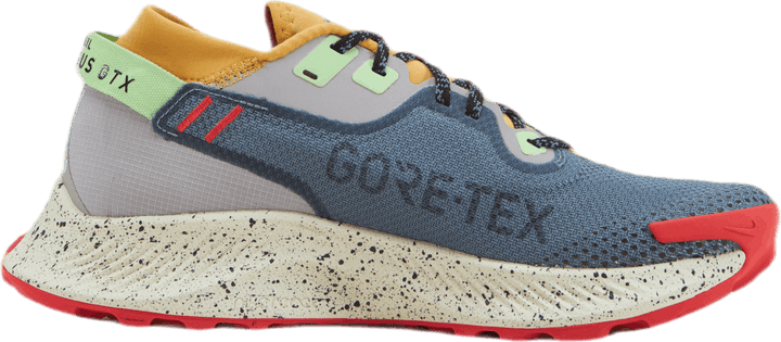 Pegasus Trail 2 Gore-Tex Svart/Grå