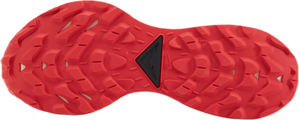 Pegasus Trail 2 Gore-Tex Svart/Grå