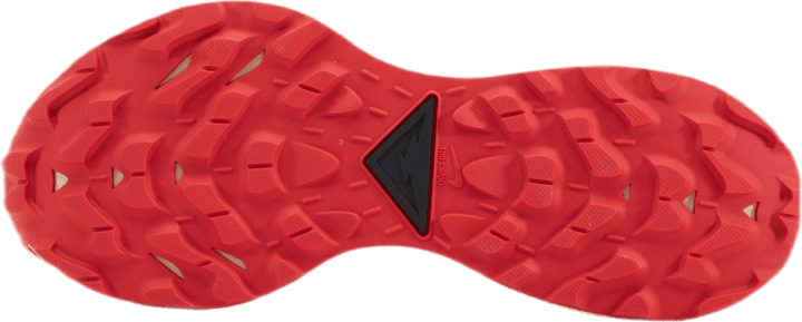 Pegasus Trail 2 Gore-Tex Svart/Grå