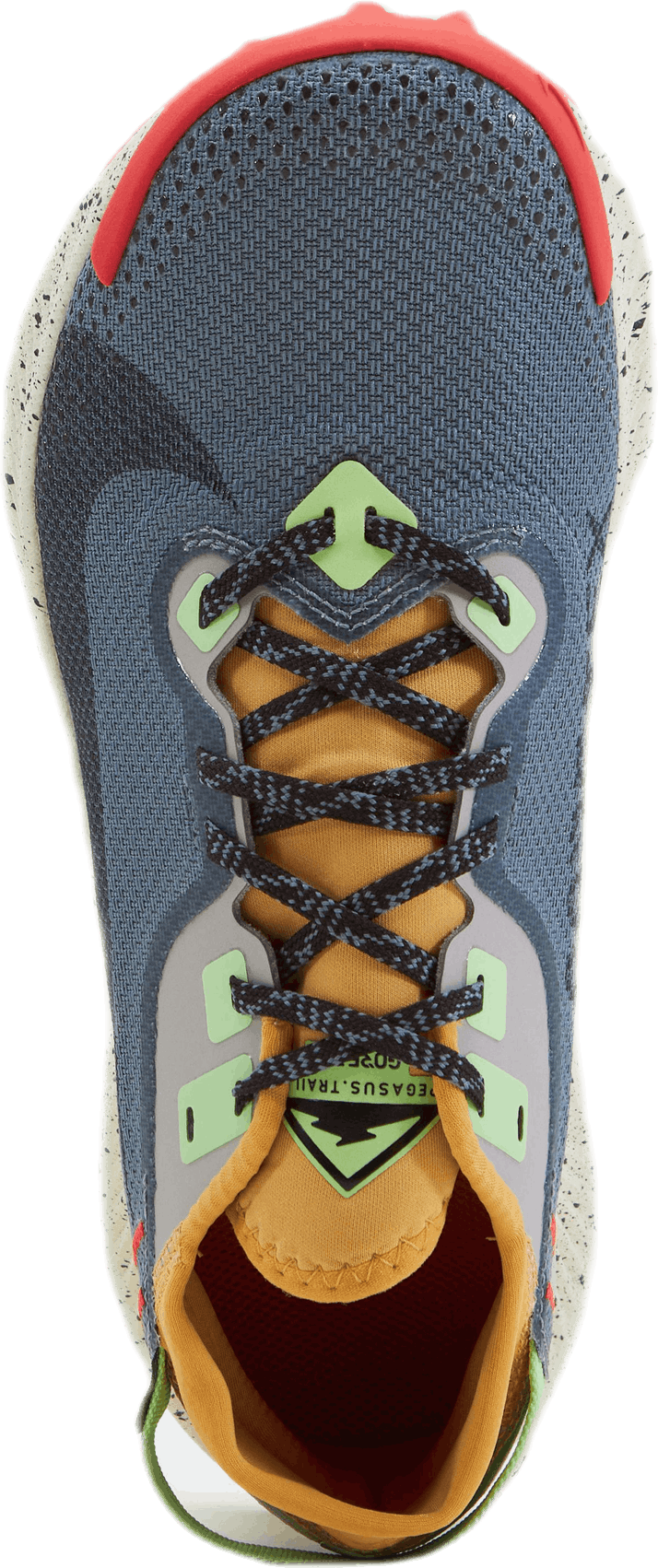 Pegasus Trail 2 Gore-Tex Svart/Grå