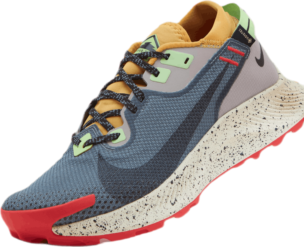Pegasus Trail 2 Gore-Tex Svart/Grå