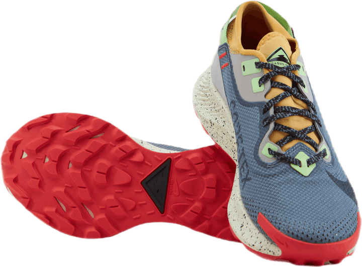 Pegasus Trail 2 Gore-Tex Svart/Grå