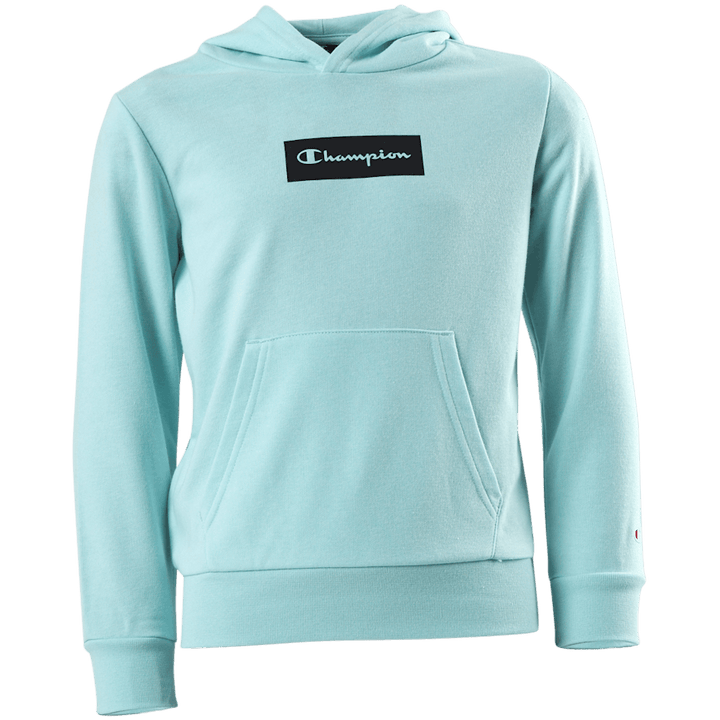Pastel Hooded Sweatshirt Junior Turquoise