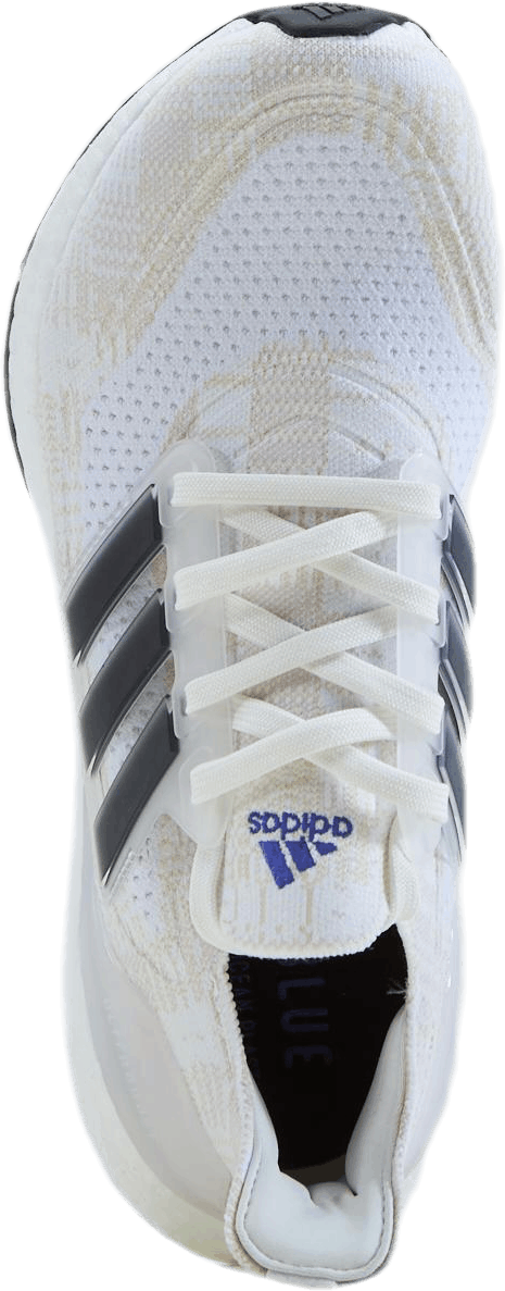 Ultraboost 21 Primeblue Non-Dyed / Core Black / Night Flash
