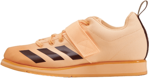 Powerlift 4 Acid Orange / Wild Sepia / Hazy Orange