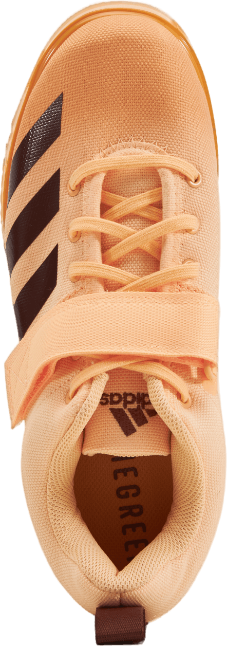 Powerlift 4 Acid Orange / Wild Sepia / Hazy Orange