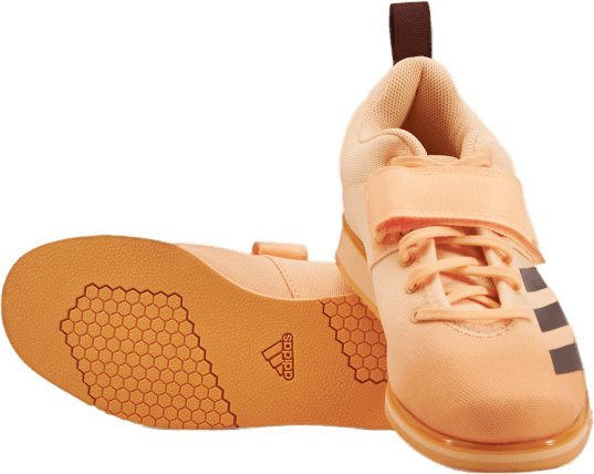 Powerlift 4 Acid Orange / Wild Sepia / Hazy Orange